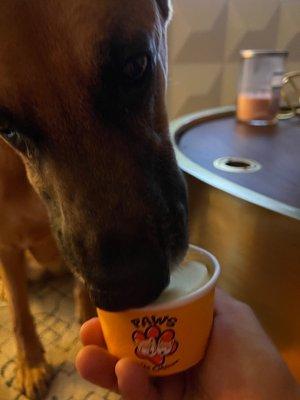 Doggie Froyo