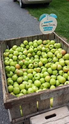 Granny Smith apples