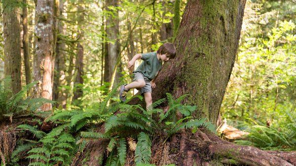 Award-winning nature connection and outdoor adventures for kids.