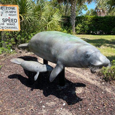 Manatee and her calf (replica cast from actual manatees)