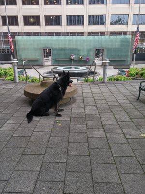 A Respectful Visit on a Memorial Day Morning