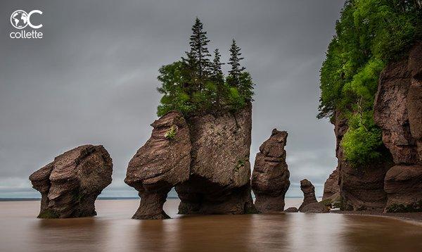 Hopewell Rocks, Canada