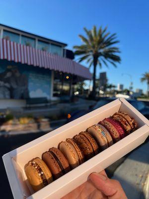 Assorted Macarons