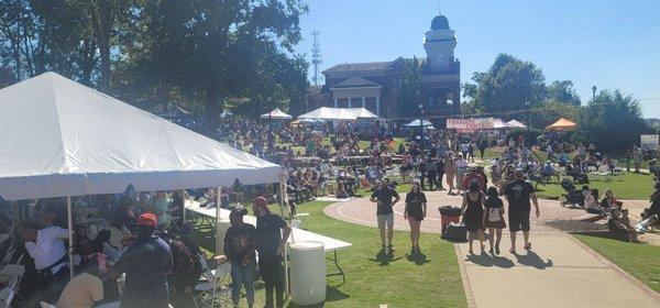 Sunning and funning to the band.