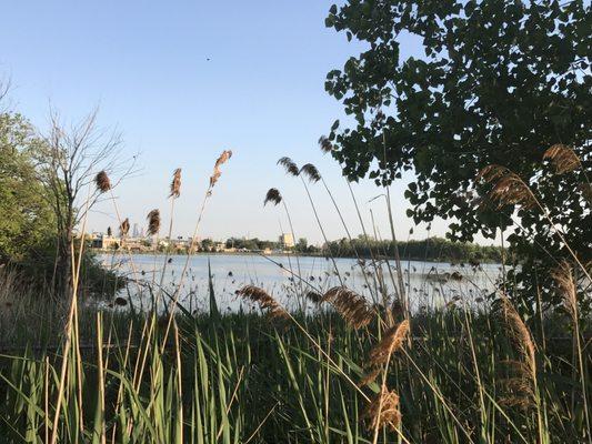 Losen Slote Creek Park