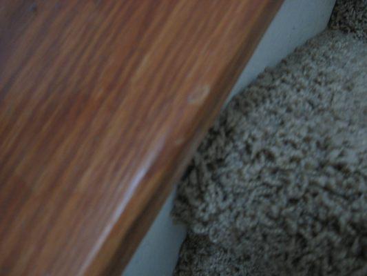 gouged wood on staircase