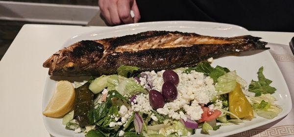 Branzino