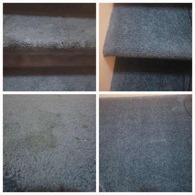 Carpet before and after