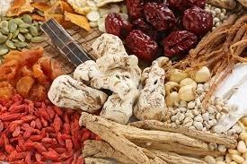 Chinese Herbal Therapy