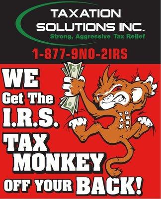 Don't let the IRS Tax Monkey take Your Money.  Call Today 888-931-1079