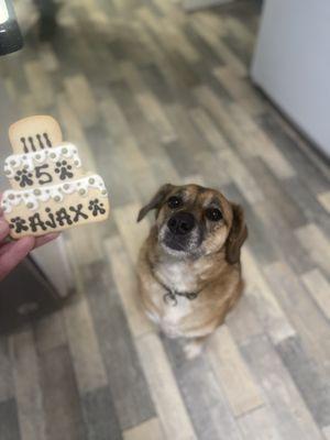 Three Dog Bakery