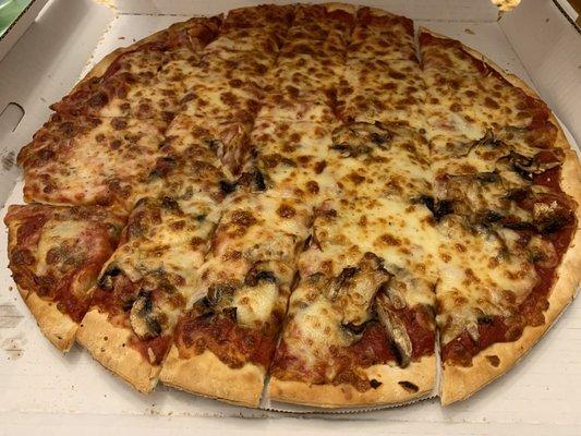 Large mushroom and onion pizza