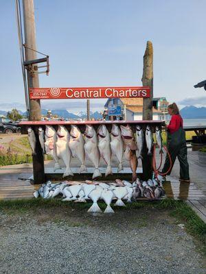 Catch of the day, 8 anglers, Current Lady, August 2021.