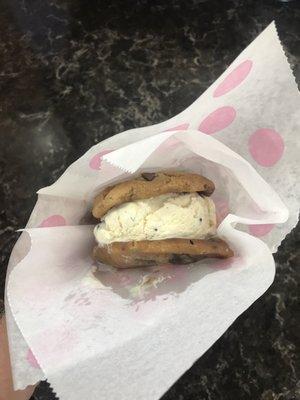 Ice cream sandwich.