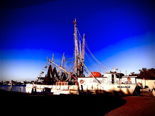 Shrimp Boats