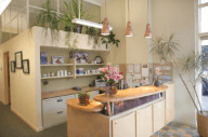 Clam Chiropractic & Wellness