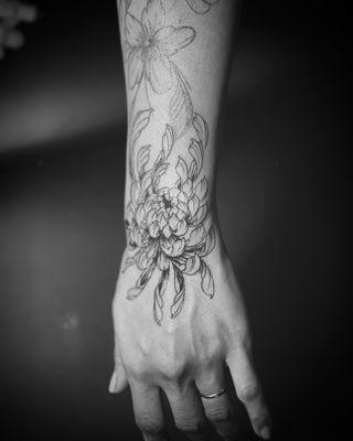 Chrysanthemum hand shot