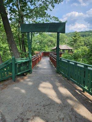 Walkway to the tree house.