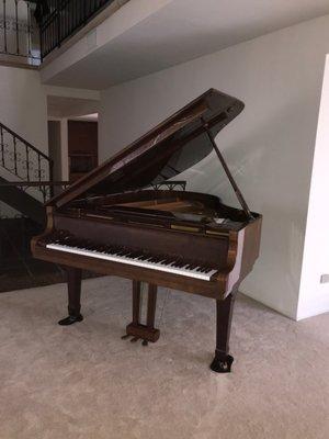 My grand piano