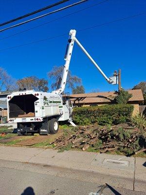 Emergency work. Cypress up rooted and resting on house