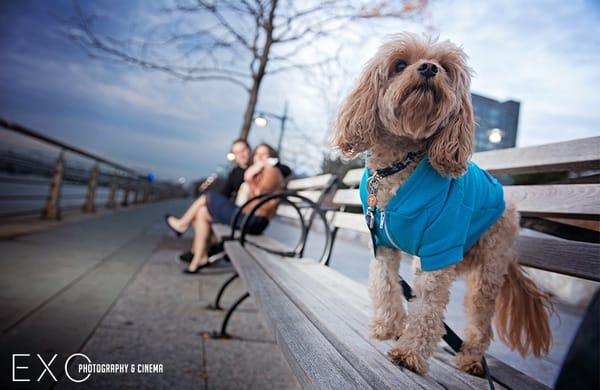 Engagement sessions - Long Island engagement photogarphers