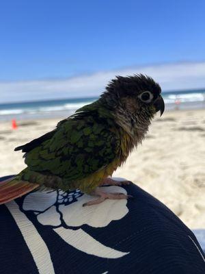 Marlo loves the beach with family.