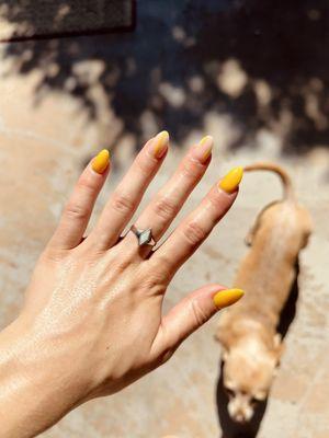 Yellow Gel over nude dip powder feat. my pup