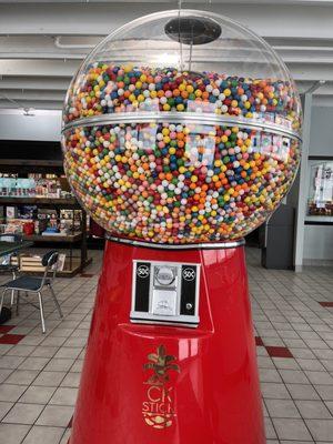 Giant gum all machine