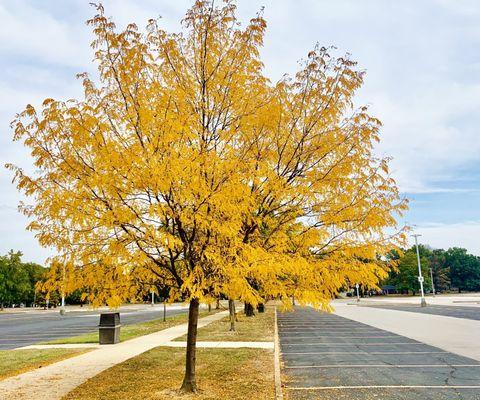 St. Louis Community College Meramec Campus