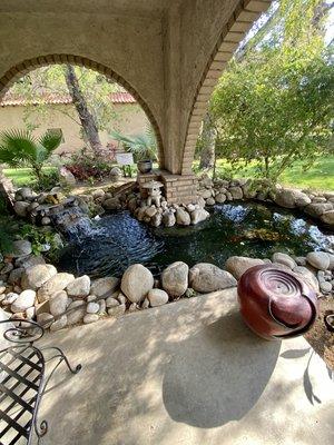 Our koi pond, where Dr. Burch enjoys feeding the fish