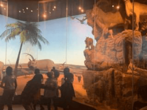 ASEP spring break museum adventures