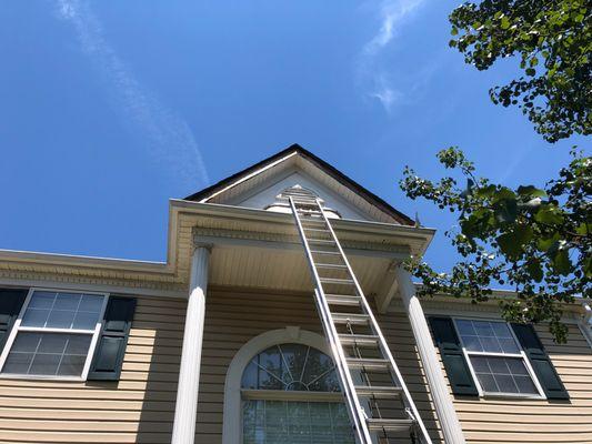 Bat removal from front porch in Charlotte, NC