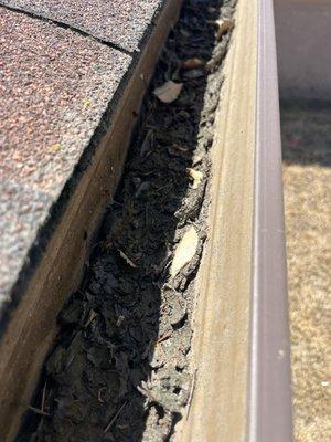 Gutter with years of dirt