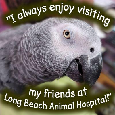 "I always enjoy visiting my friends at Long Beach Animal Hospital!"