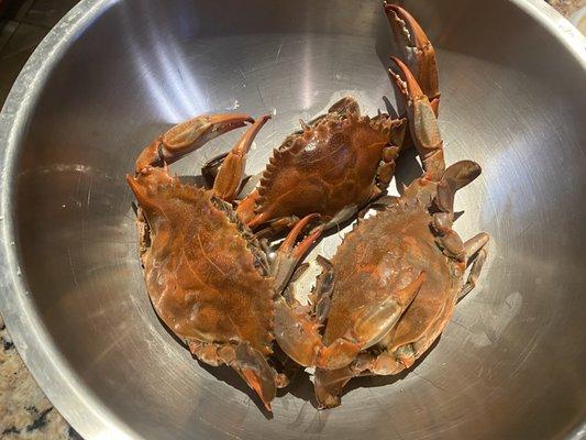 1 lb blue crab