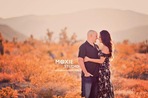 Moxie Studio Photography