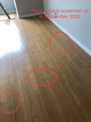 Move-in condition: Floor scratches (that Ms. Lau tried to blame us for at the end of our lease, and claimed would cost $3K+ to repair)