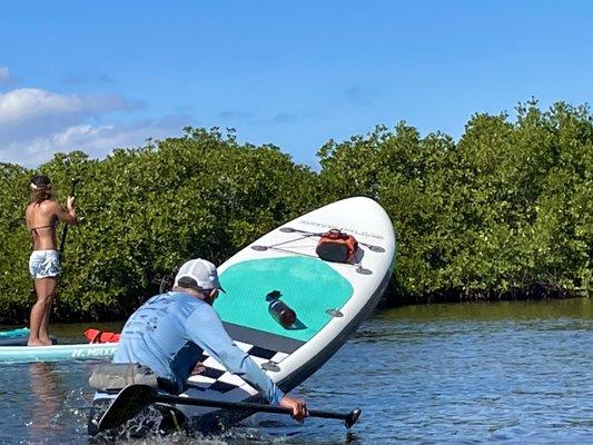 Paradise SUP Adventure Tours