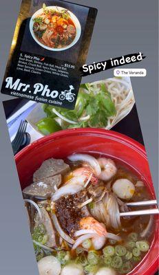 5. Spicy Pho