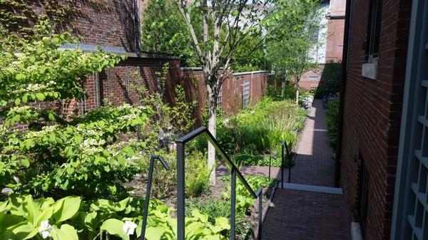 Longfellow's garden. One of my favorite places in the city.