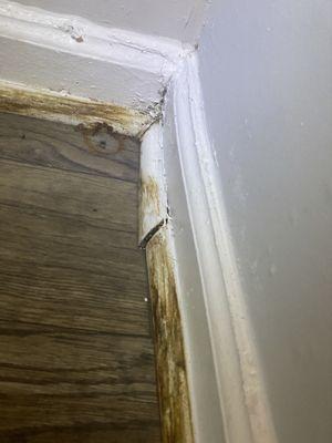 Water intrusion from the unit next door causes the base board to Rot and mold