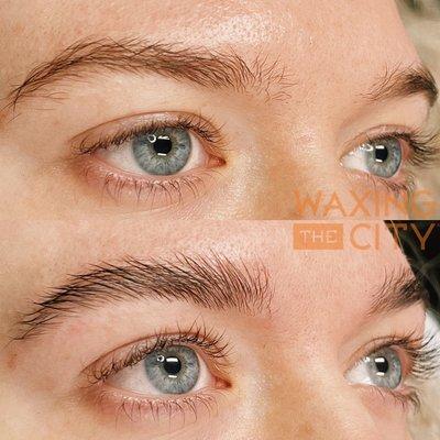 Brow Lamination