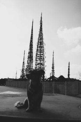 Watts Towers