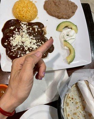 Enchilada de Mole