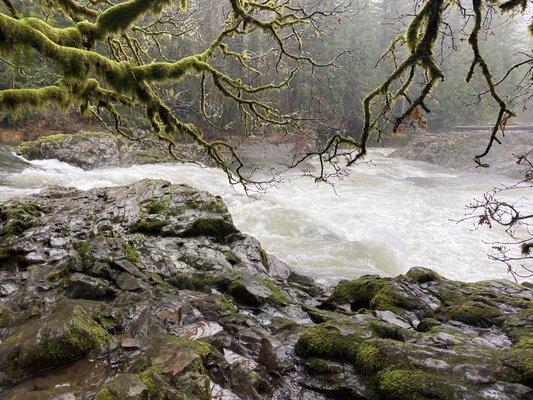 Lucia Falls, Washington