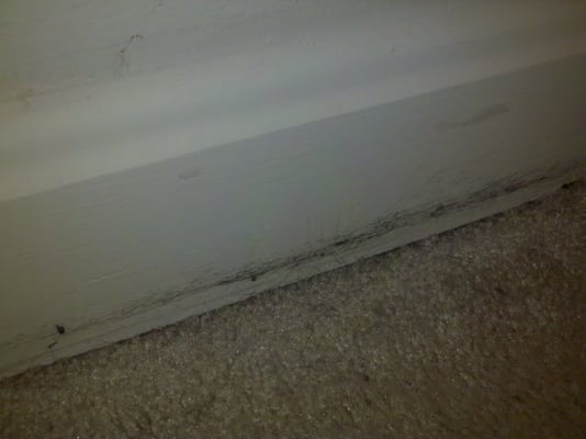 They don't vacuum before they clean the carpet so all the dirt that was on your carpet will end up on your baseboards.