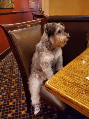 Einstein and I at Lake Tahoe Bally's Casino Cafe on 7/11/23