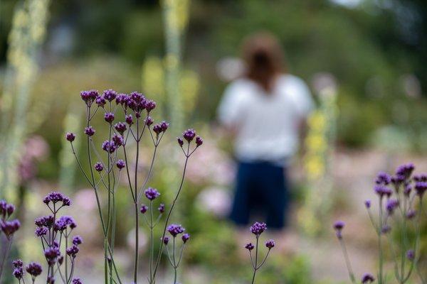 UC Botanical Garden at Berkeley