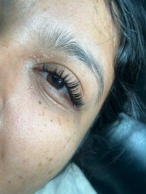 Lashes