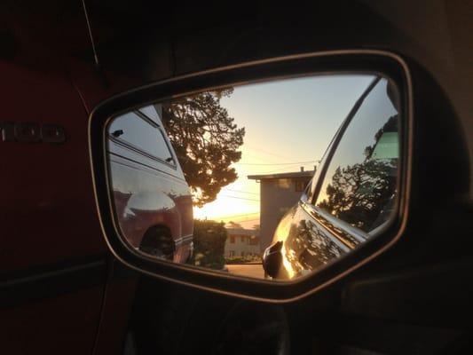 #sunset time I am admiring the #ocean from #presidiopark #sanfrancisco